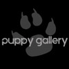 Puppy Gallery